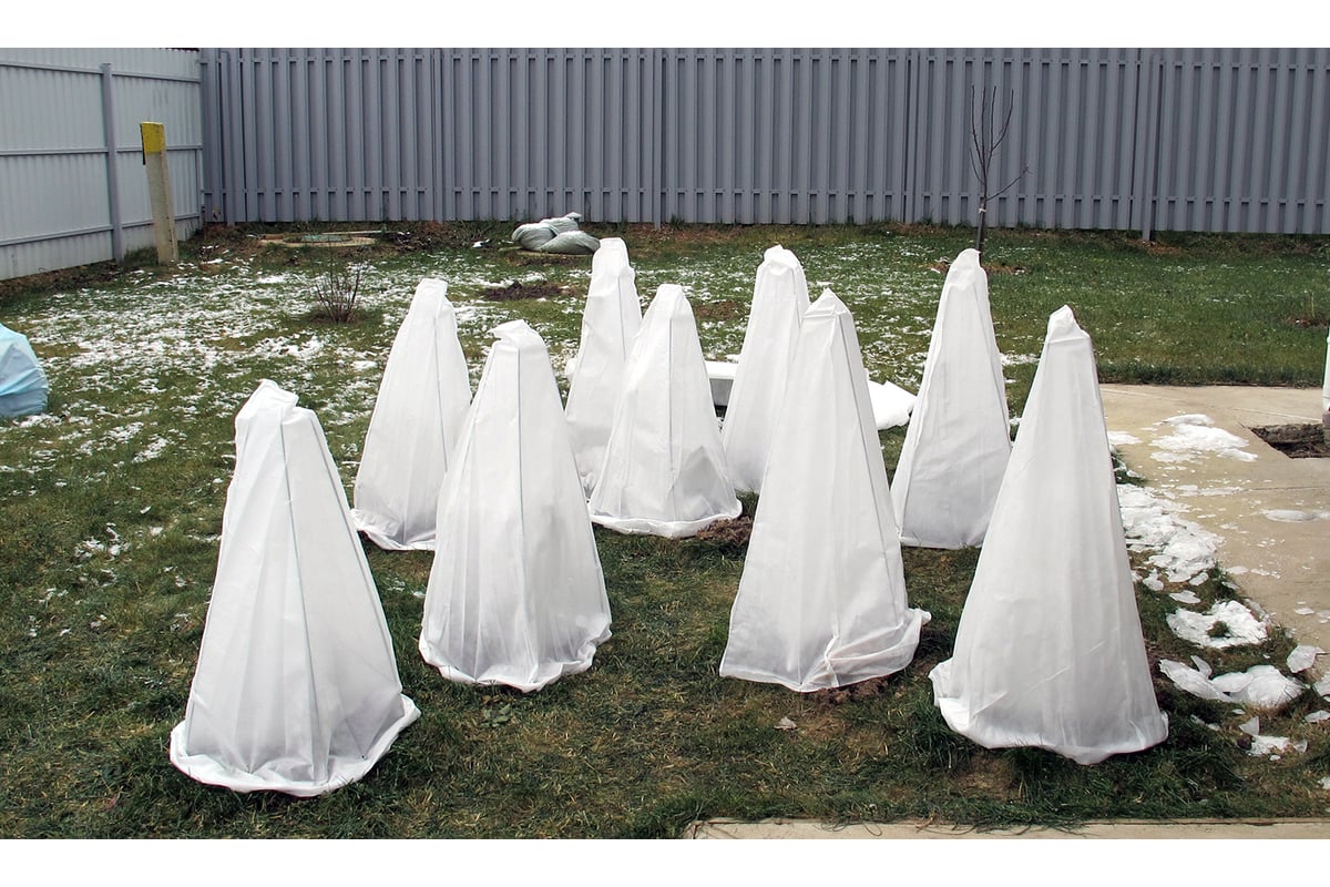 Myslíte si, že chráníte své rostliny před chladem... ale toto řešení může být ještě horší než mrazy.