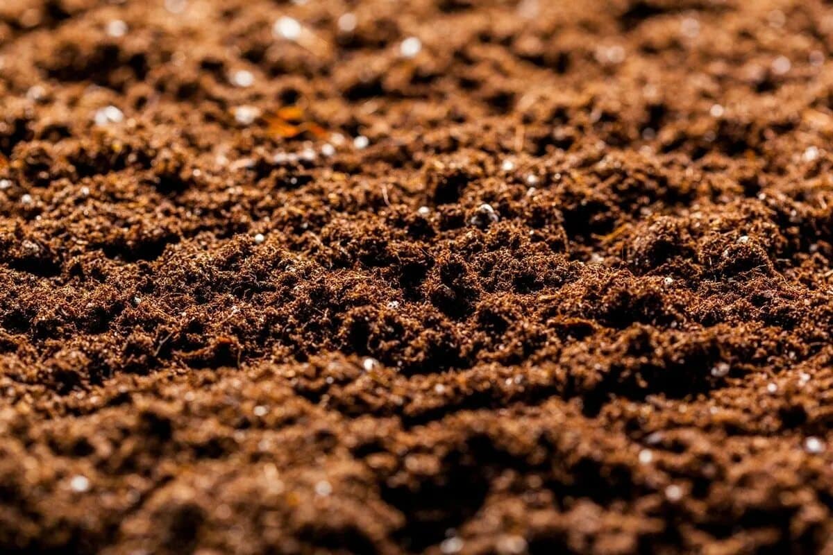 Dříve lidé vždy připravovali půdu tímto způsobem v únoru: úroda byla dvakrát bohatší.