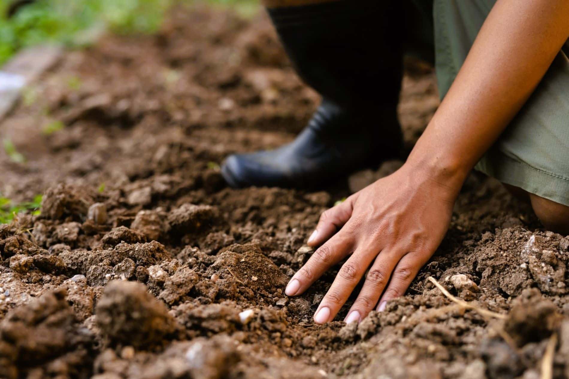 Dříve lidé vždy připravovali půdu tímto způsobem v únoru: úroda byla dvakrát bohatší.