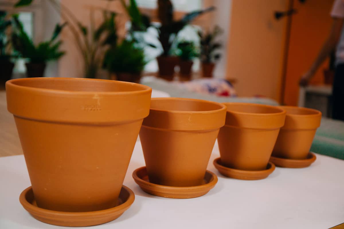 Brzy budou zakázány. A přitom jsou téměř v každém domě.